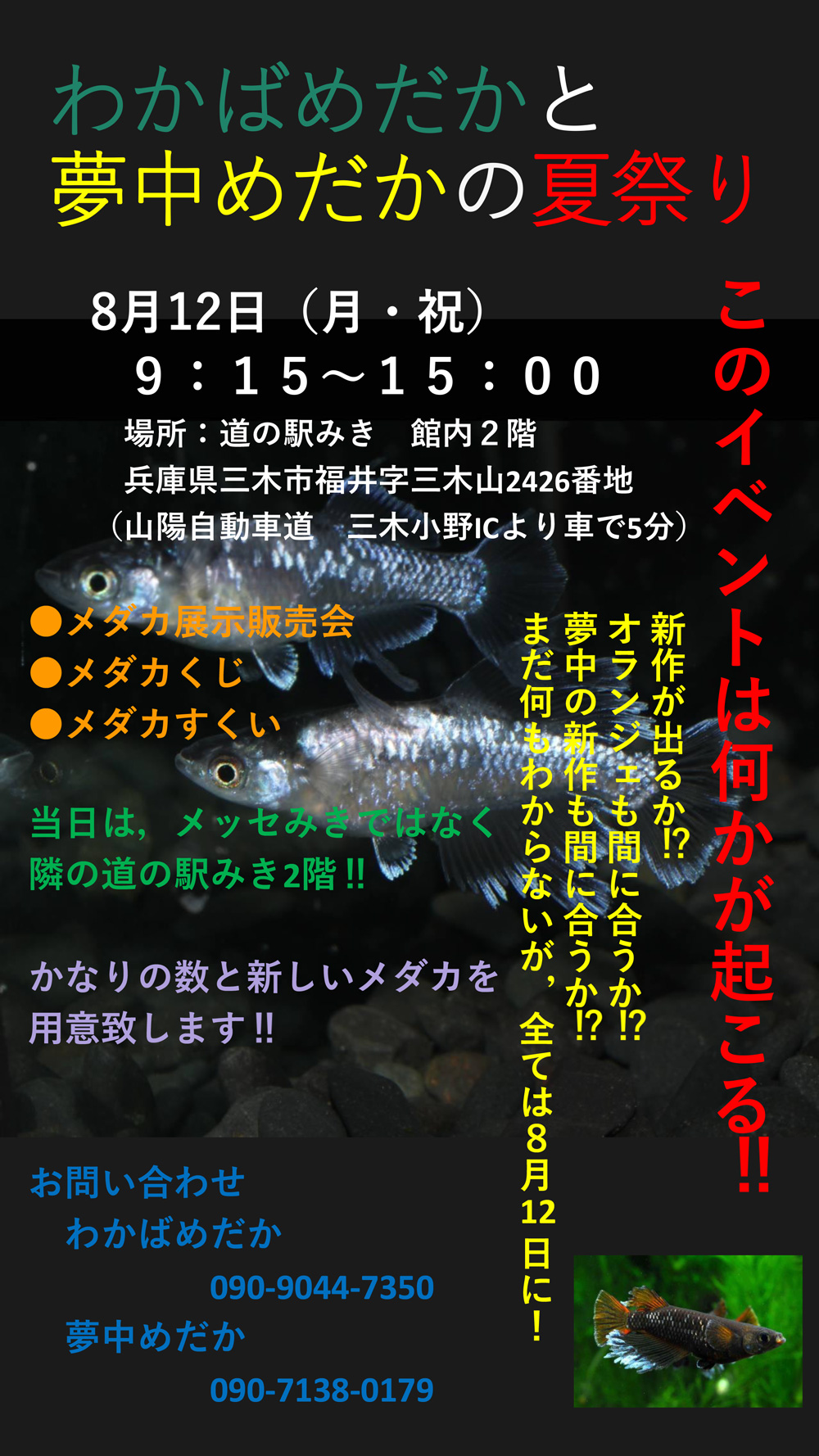 わかばめだかと夢中めだかの夏祭り