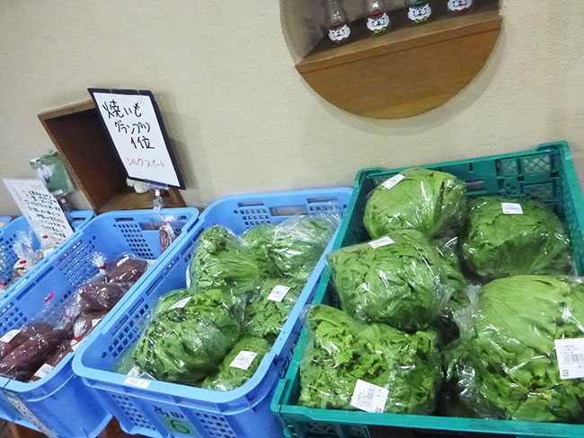 三木市別所産の野菜