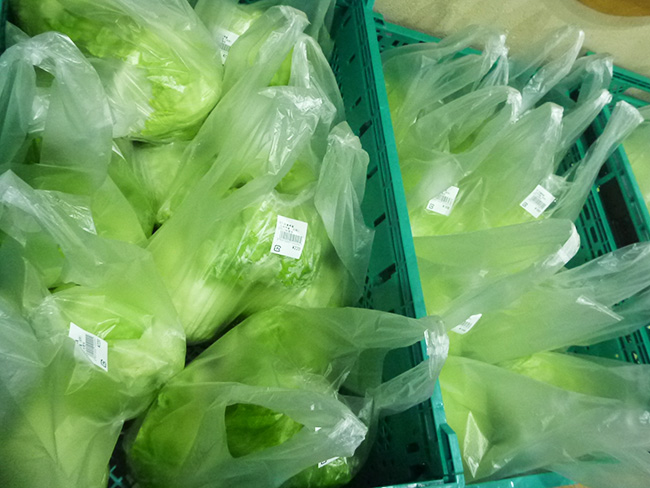 三木市別所産の野菜