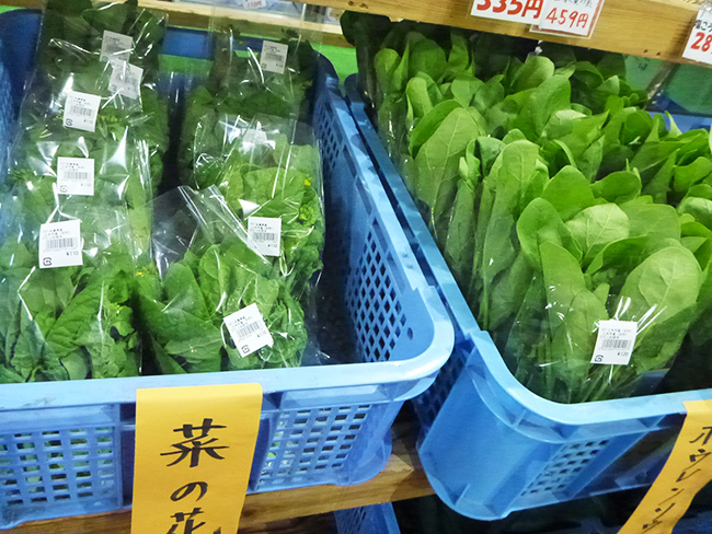 春菊・高菜・新玉ねぎ