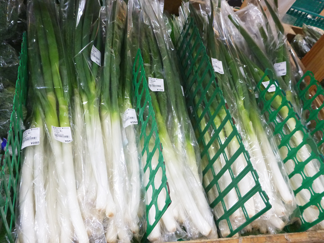 白ネギ