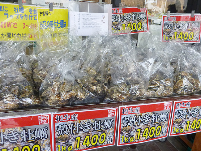 兵庫県相生産の殻付き生牡蠣