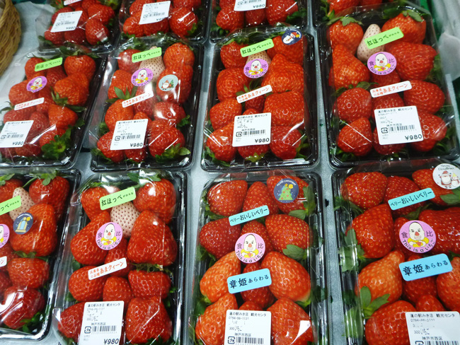 兵庫県産いちご