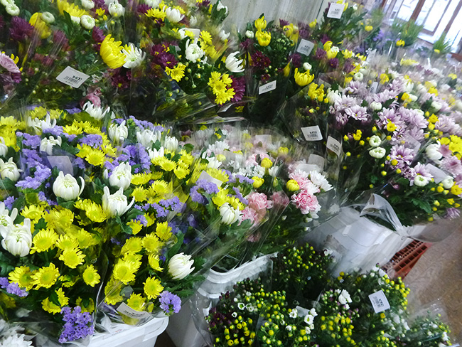 クルミファームさん・三木市別所町の農家さん等のお花を販売しています