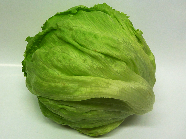 当直売所の人気野菜、新鮮シャキシャキの「別所レタス」は、三木・別所地区のこだわりの土で丹精込めて作られています。