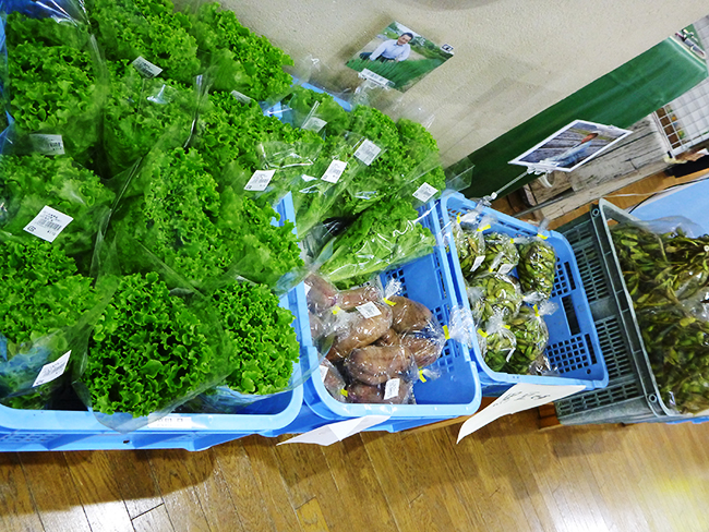三木市別所産のお野菜が毎朝入荷しています