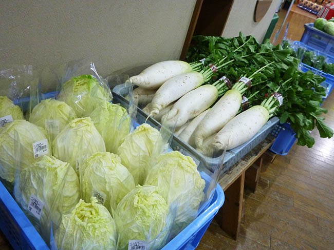 三木市別所産のお野菜が毎朝入荷しています