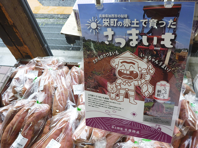 加西産 さつまいも(紅はるか)