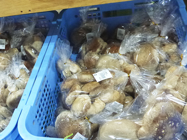 三木市別所産「椎茸」