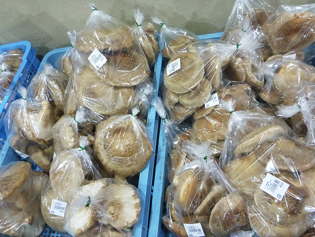 三木市別所産「椎茸」